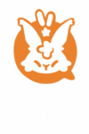 Kotae